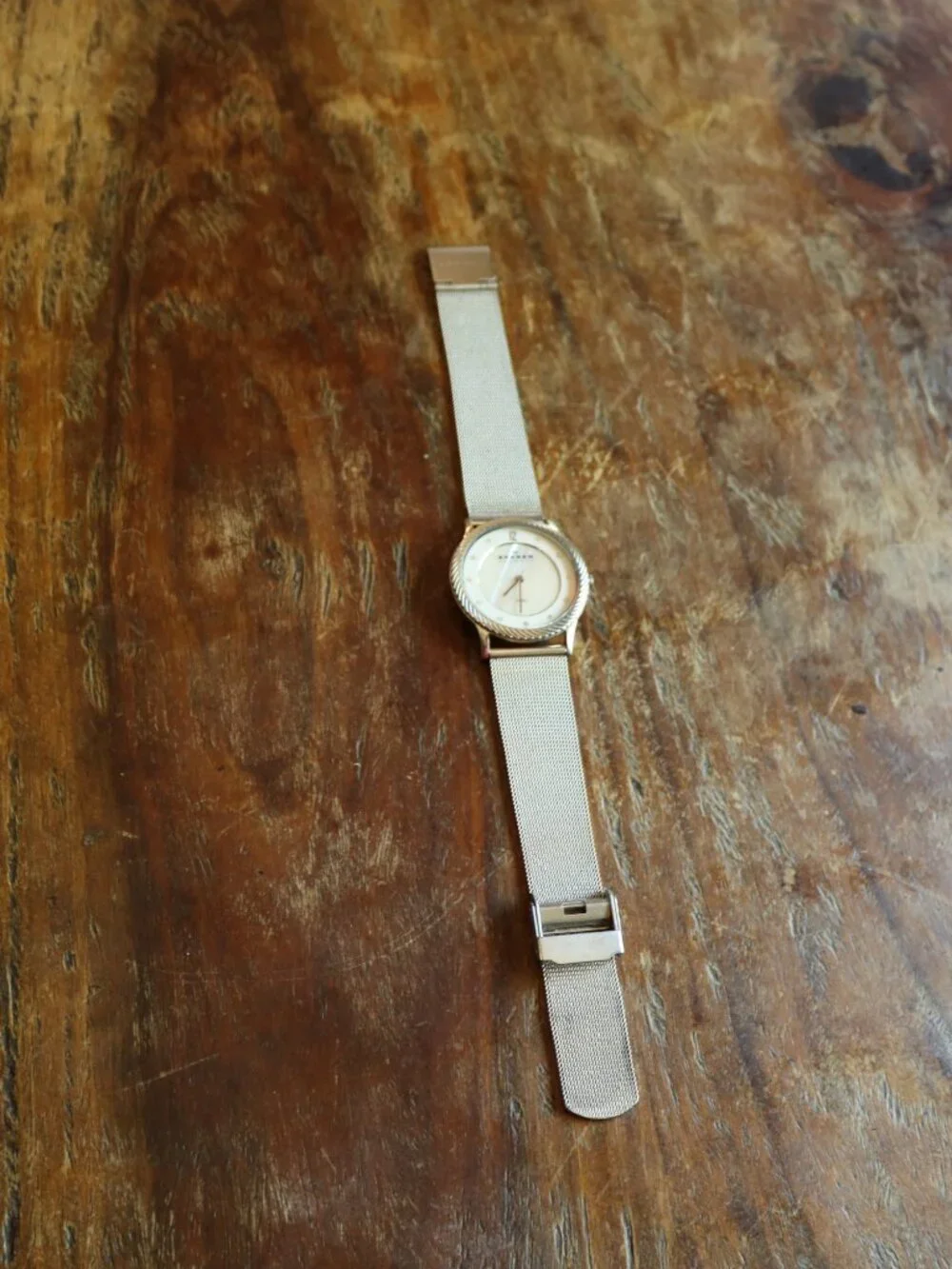Skagen highlighted item